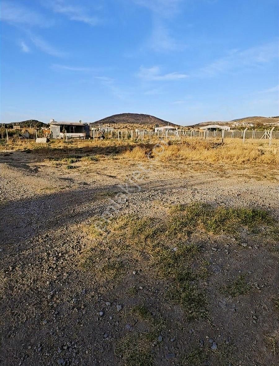 Foça Gerenköyde 600 M2 Kupon Bahçe Acil Satılık - Görsel 19