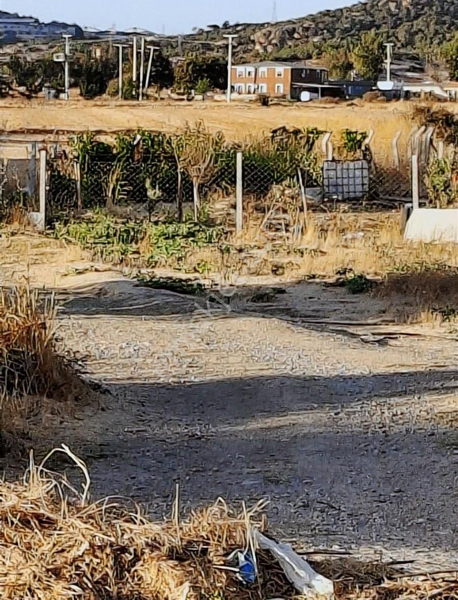 Foça Gerenköyde 600 M2 Kupon Bahçe Acil Satılık - Görsel 7