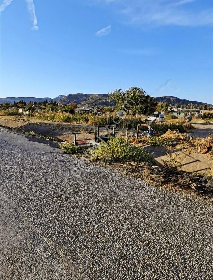 Foça Gerenköyde 600 M2 Kupon Bahçe Acil Satılık - Görsel 8