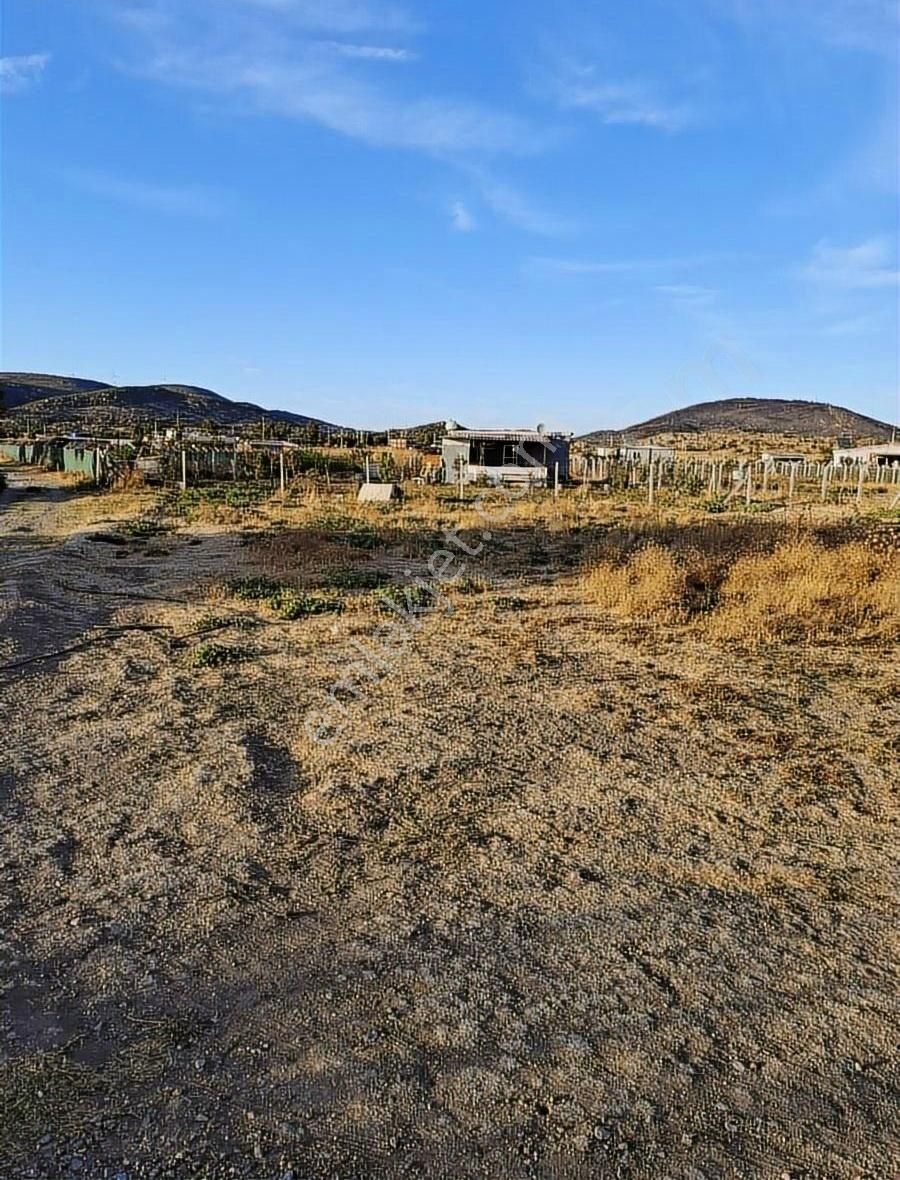 Foça Gerenköyde 600 M2 Kupon Bahçe Acil Satılık - Görsel 25