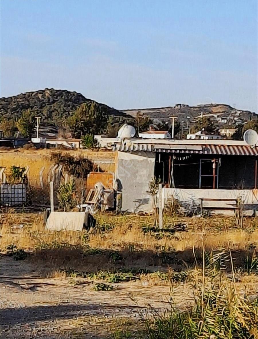 Foça Gerenköyde 600 M2 Kupon Bahçe Acil Satılık