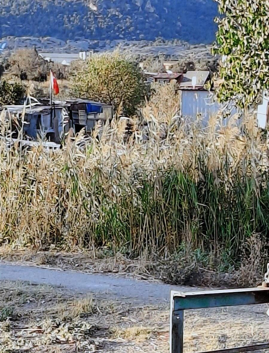 Foça Gerenköyde 600 M2 Kupon Bahçe Acil Satılık - Görsel 20