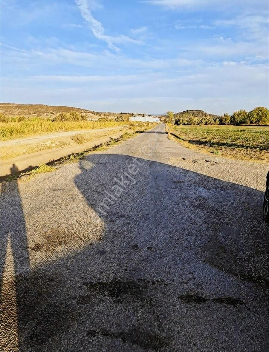 Foça Gerenköyde 600 M2 Kupon Bahçe Acil Satılık - Görsel 6