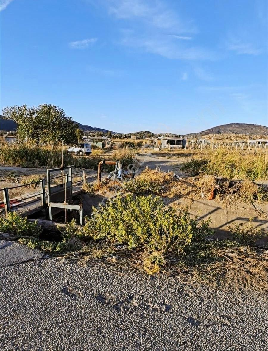 Foça Gerenköyde 600 M2 Kupon Bahçe Acil Satılık - Görsel 22