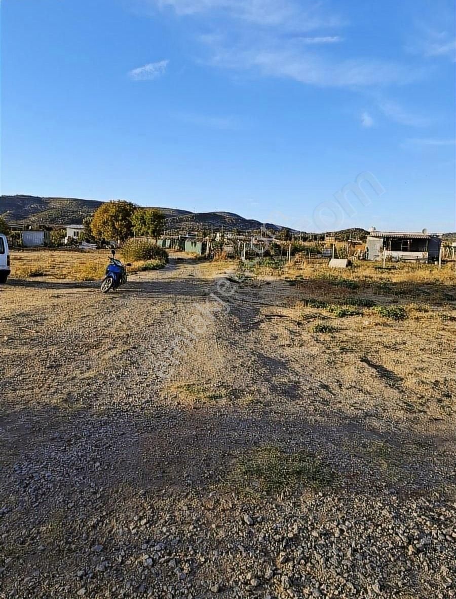 Foça Gerenköyde 600 M2 Kupon Bahçe Acil Satılık - Görsel 27