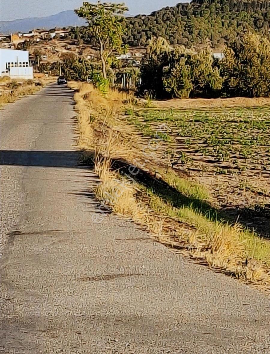 Foça Gerenköyde 600 M2 Kupon Bahçe Acil Satılık - Görsel 21