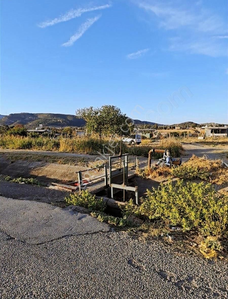 Foça Gerenköyde 600 M2 Kupon Bahçe Acil Satılık - Görsel 13