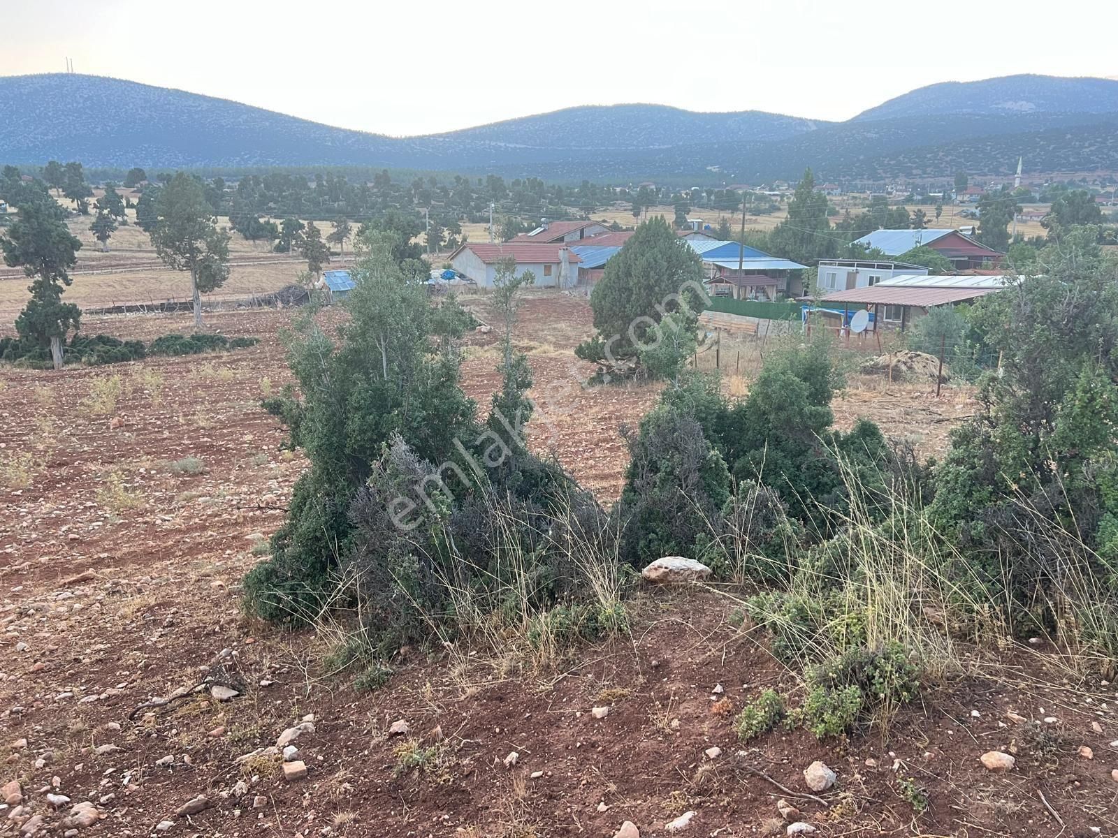 Korkuteli Sımandır 1241 - Görsel 4