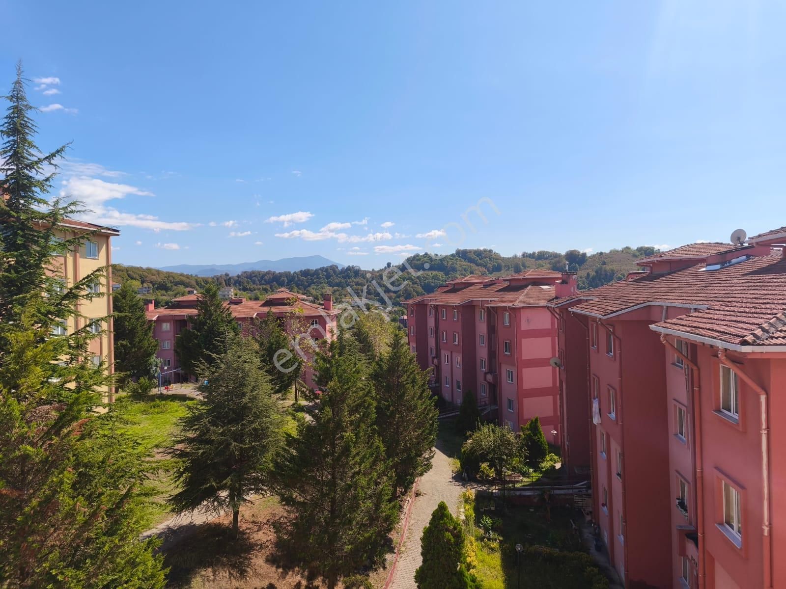 Ereğli Güncel Emlak.alaplı Toki Konutlarında Daire Satıyor