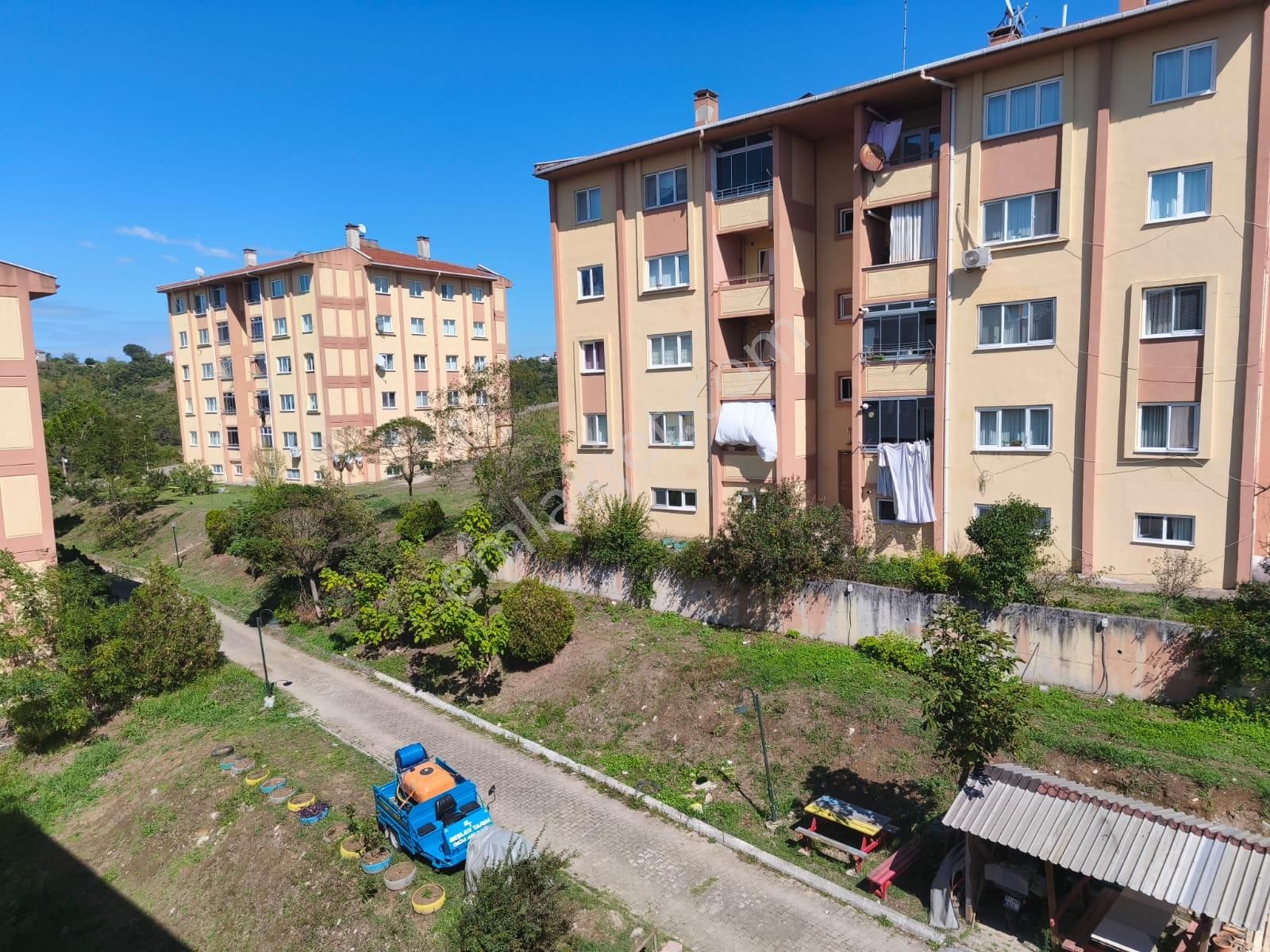 Ereğli Güncel Emlak.alaplı Toki Konutlarında Daire Satıyor - Görsel 13