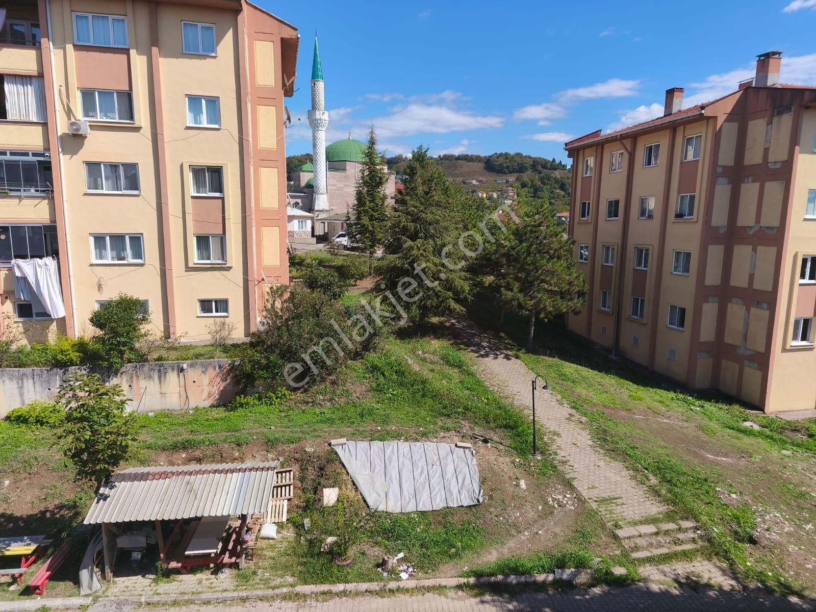 Ereğli Güncel Emlak.alaplı Toki Konutlarında Daire Satıyor - Görsel 14