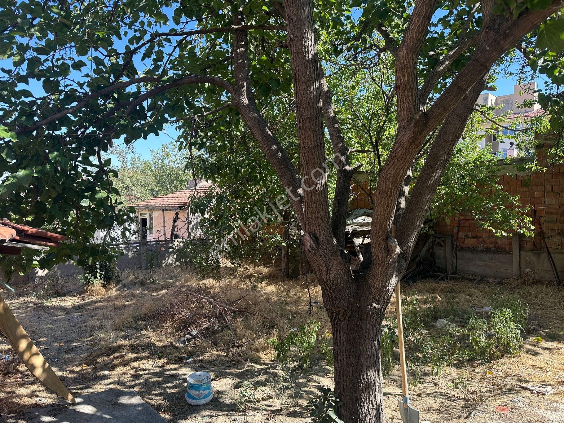 Satılık Bahçeli 2 Katlı Müstakil Ev... Şentepe Mahallesi Karakol Yakını. - Görsel 3