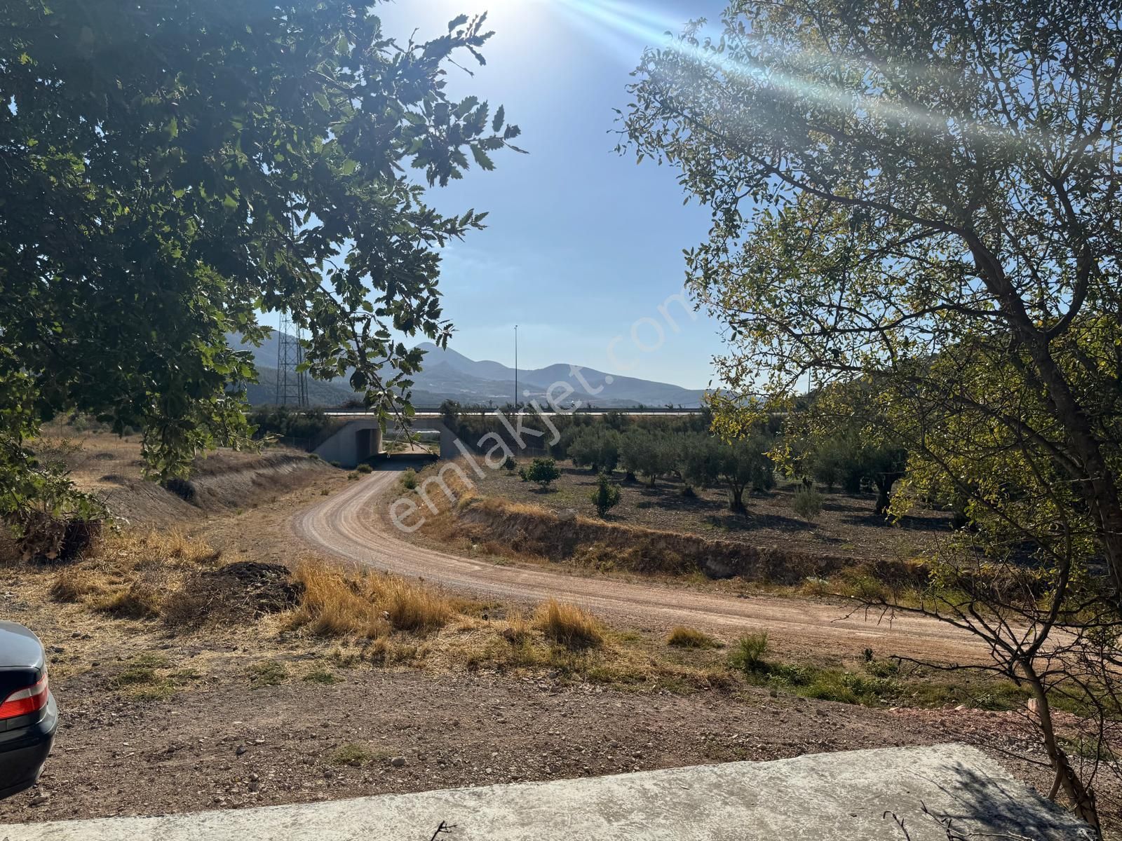 Soma Yırca’da 4.002 M² Zeytinlik – Yolu, Suyu Ve 40 Adet Zeytin Ağacı İle Yatırımlık Fırsat ! - Görsel 3