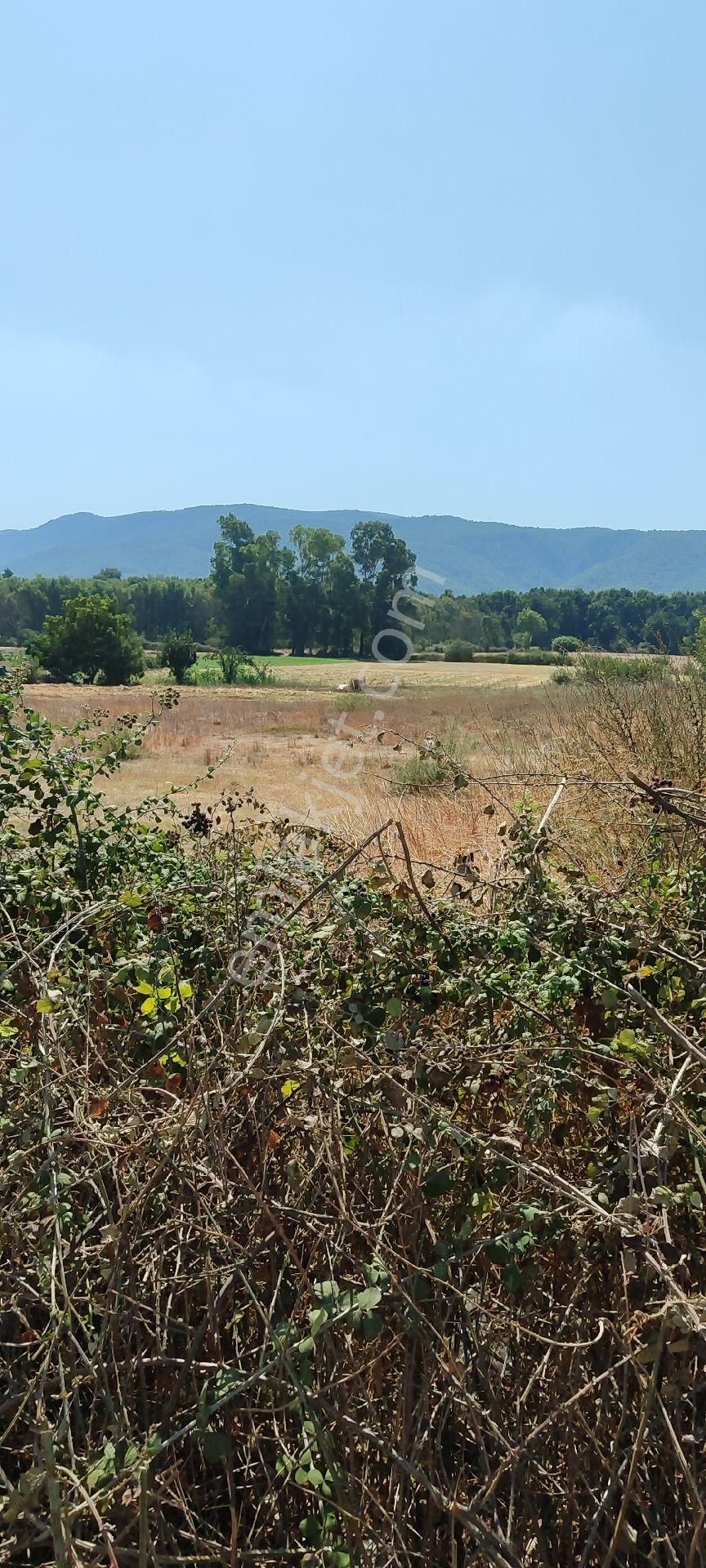 Satılık Kızılyakada Ticari İmarlı Arsa - Görsel 2