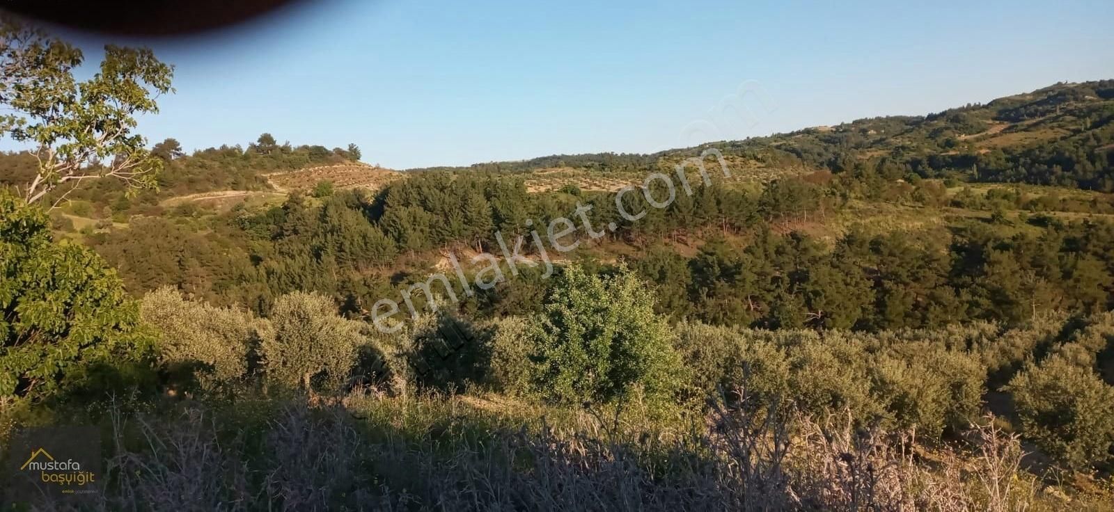 Mustafa Başyiğit Emlak'tan Gördes Kayacık'da 165,5 Dönüm Tarla - Görsel 10