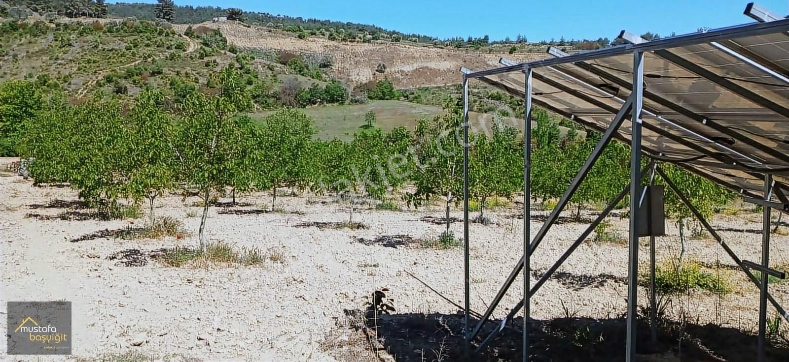 Mustafa Başyiğit Emlak'tan Gördes Kayacık'da 165,5 Dönüm Tarla - Görsel 6