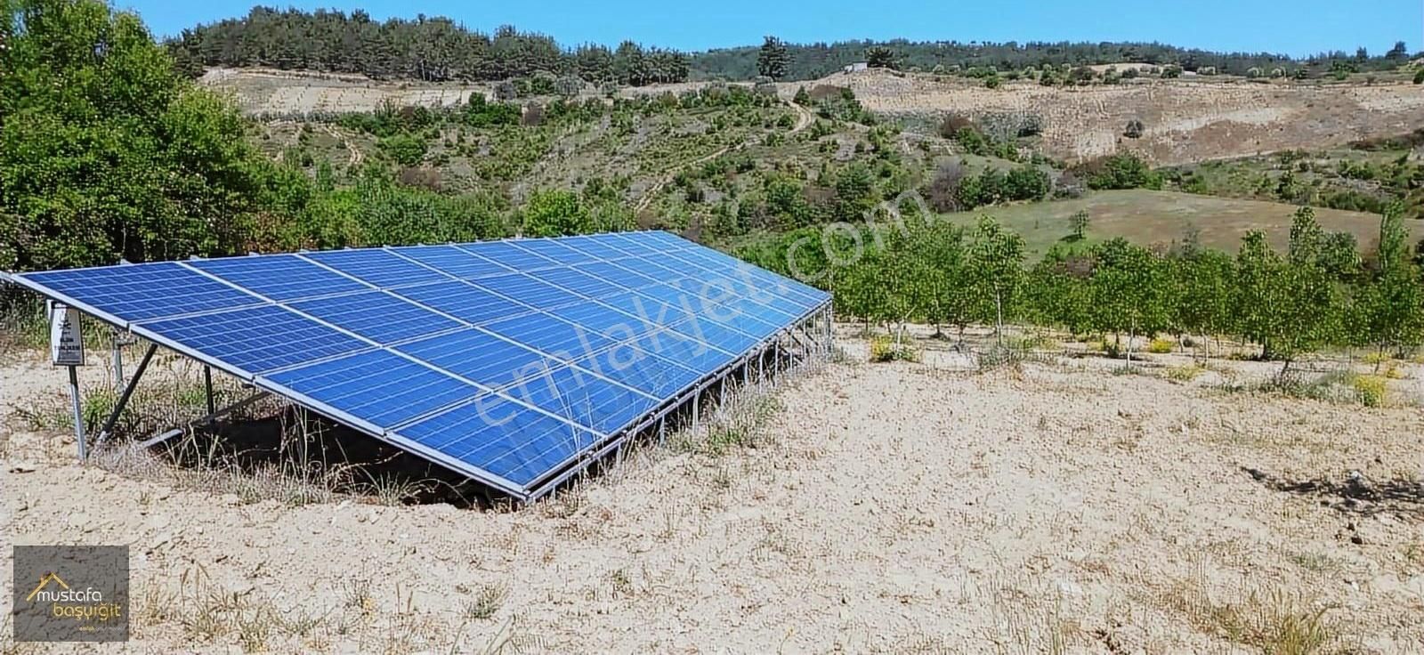 Mustafa Başyiğit Emlak'tan Gördes Kayacık'da 165,5 Dönüm Tarla - Görsel 11