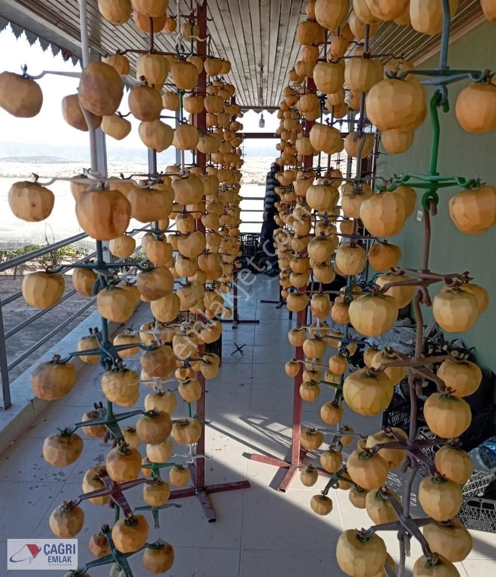 Çağrı Emlaktan Korkuteli Kevzerde Satılık Cennet Hurması Bahçesi - Görsel 8