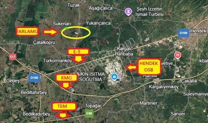 Hendek-sofular Köyünde Asfalt Yola 30 Mt Cepheli 7.038 M2 Tarla - Görsel 3