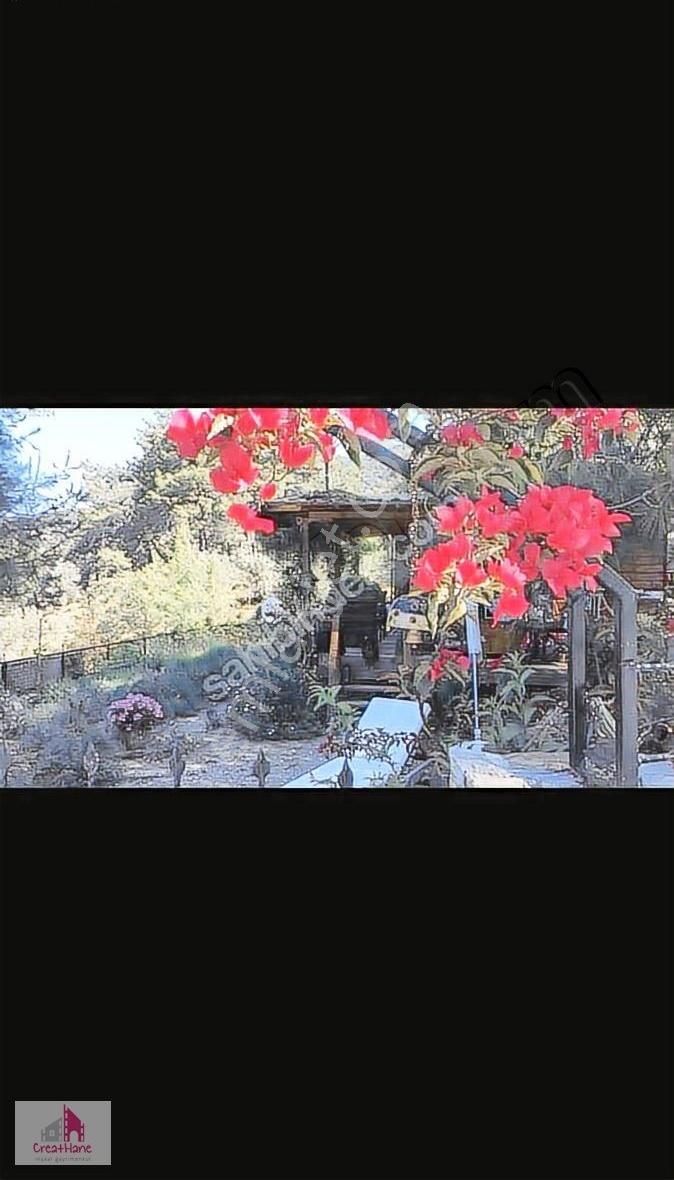 Yetkili Ofs - Gökçeovacık'ta Bahçelı Havuzlu Mustakil Ahsap Ev