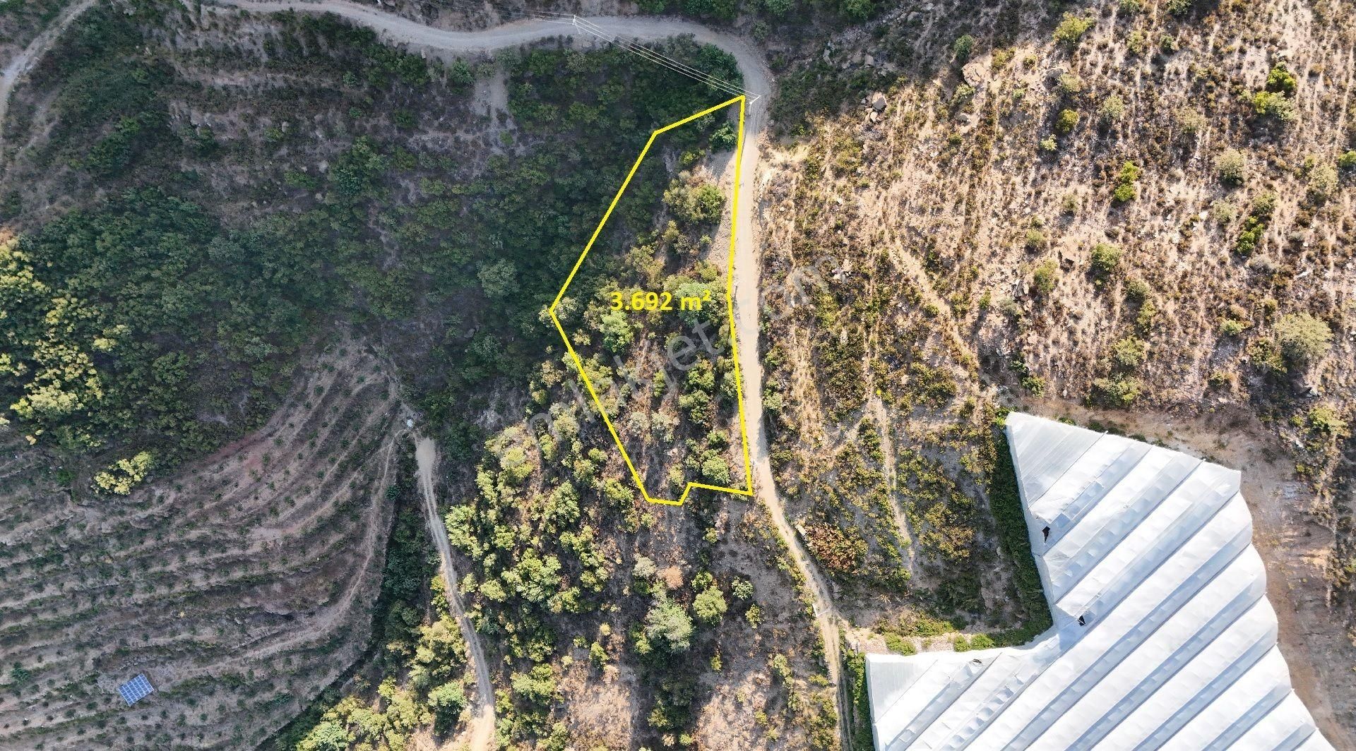 Satılık 3.692 M² Tarla, Alanya-güneyköy - Görsel 5