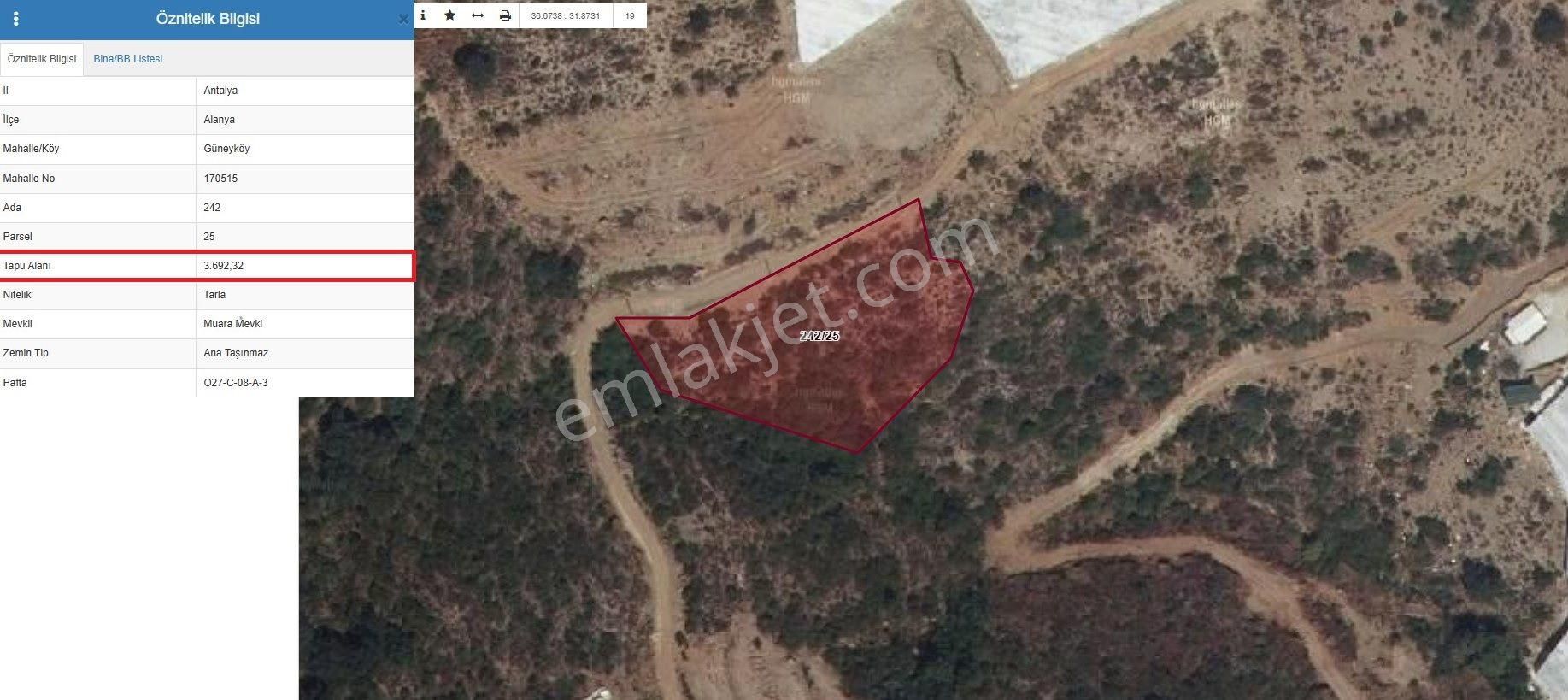 Satılık 3.692 M² Tarla, Alanya-güneyköy - Görsel 8