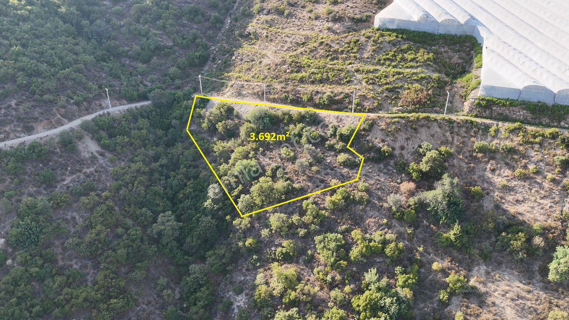 Satılık 3.692 M² Tarla, Alanya-güneyköy