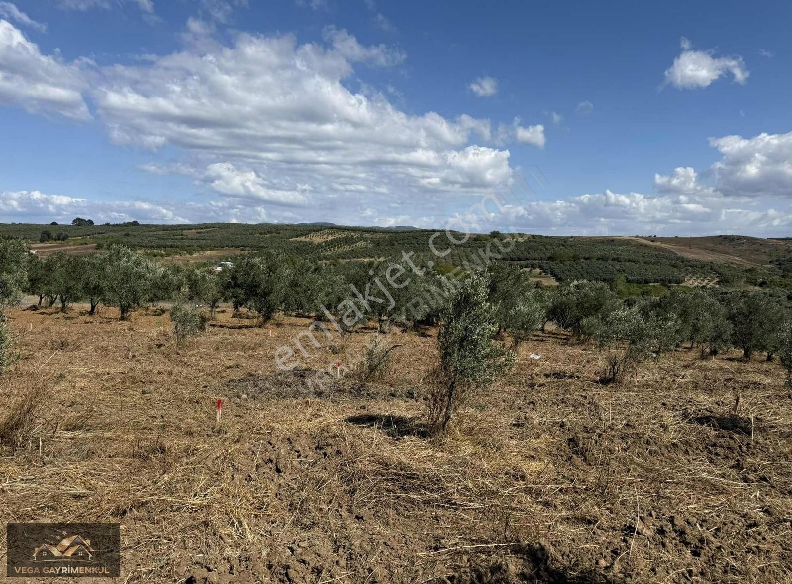 Esence'de Satılık Parseller - Görsel 4