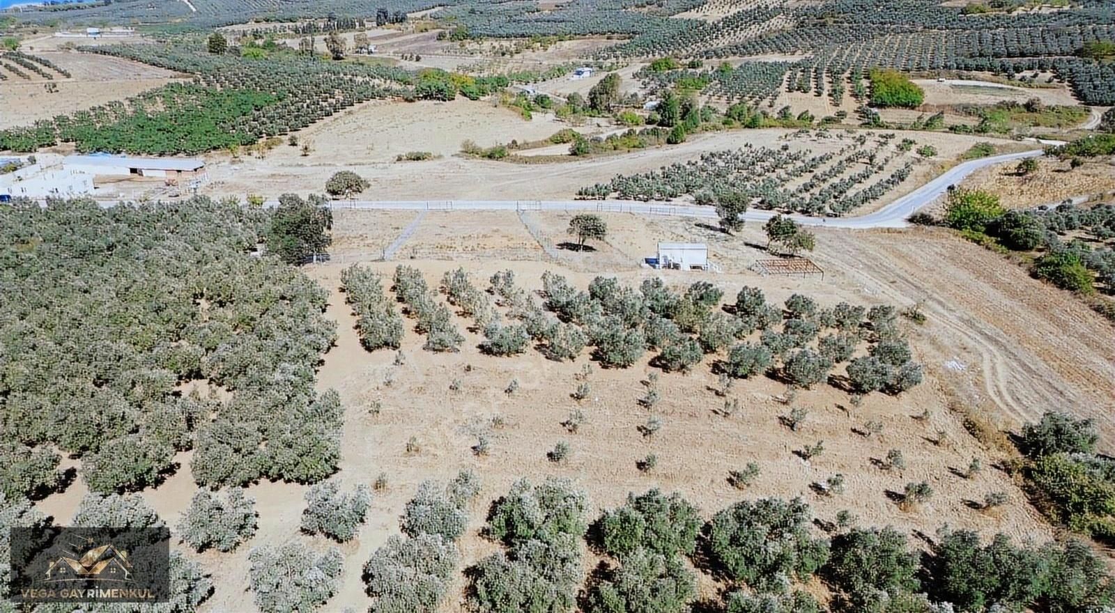 Esence'de Satılık Parseller - Görsel 18