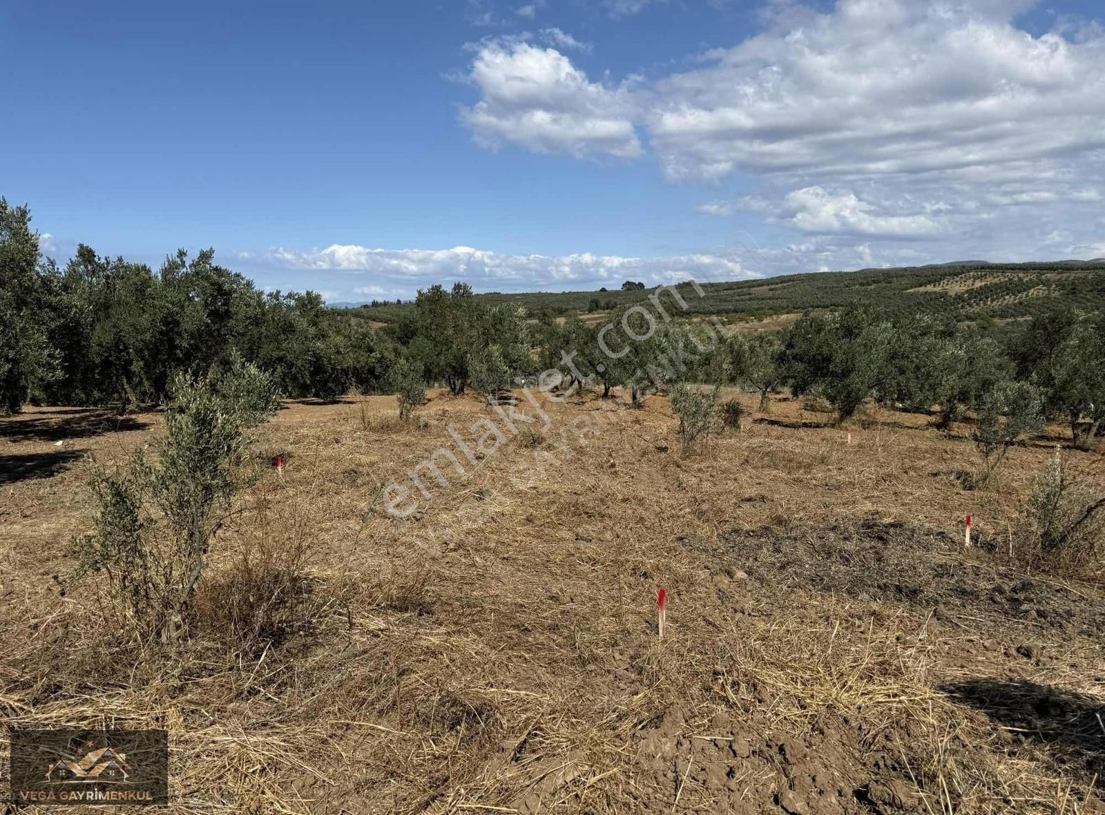 Esence'de Satılık Parseller - Görsel 8