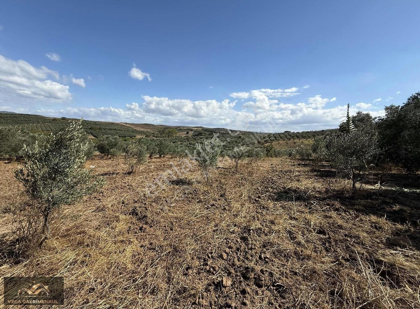 Esence'de Satılık Parseller - Görsel 3