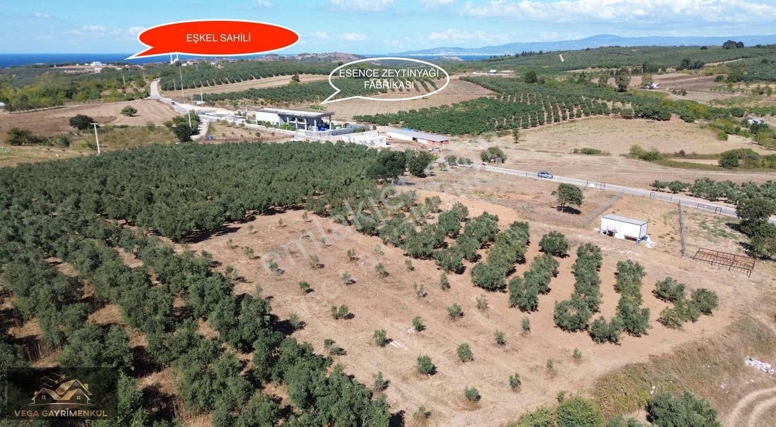 Esence'de Satılık Parseller - Görsel 15