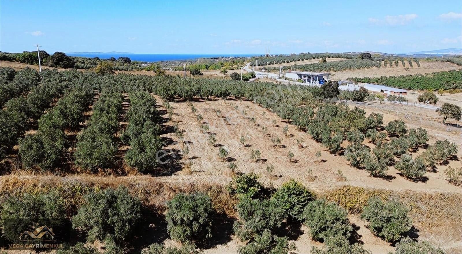 Esence'de Satılık Parseller - Görsel 16