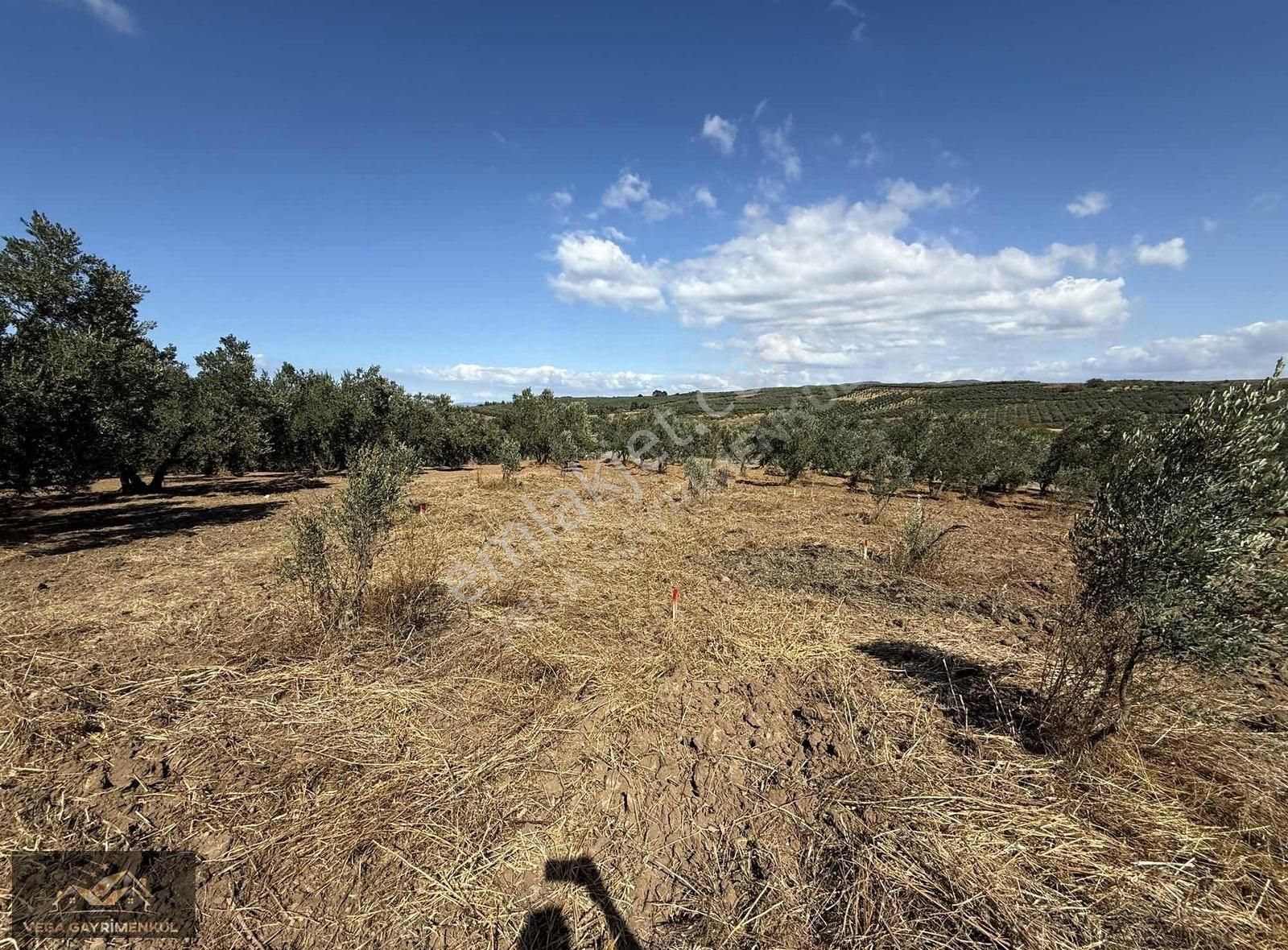 Esence'de Satılık Parseller - Görsel 2