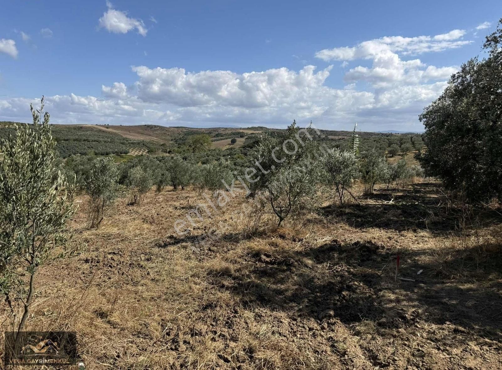 Esence'de Satılık Parseller - Görsel 6