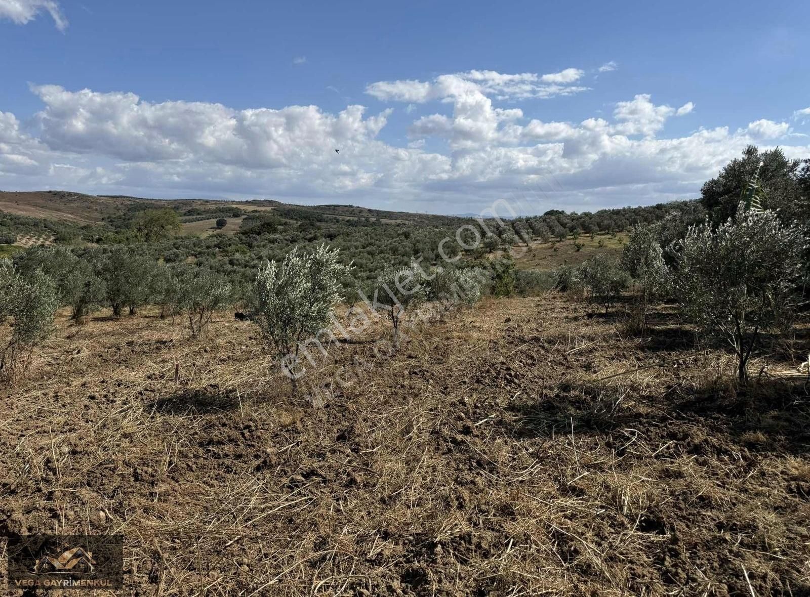 Esence'de Satılık Parseller - Görsel 20