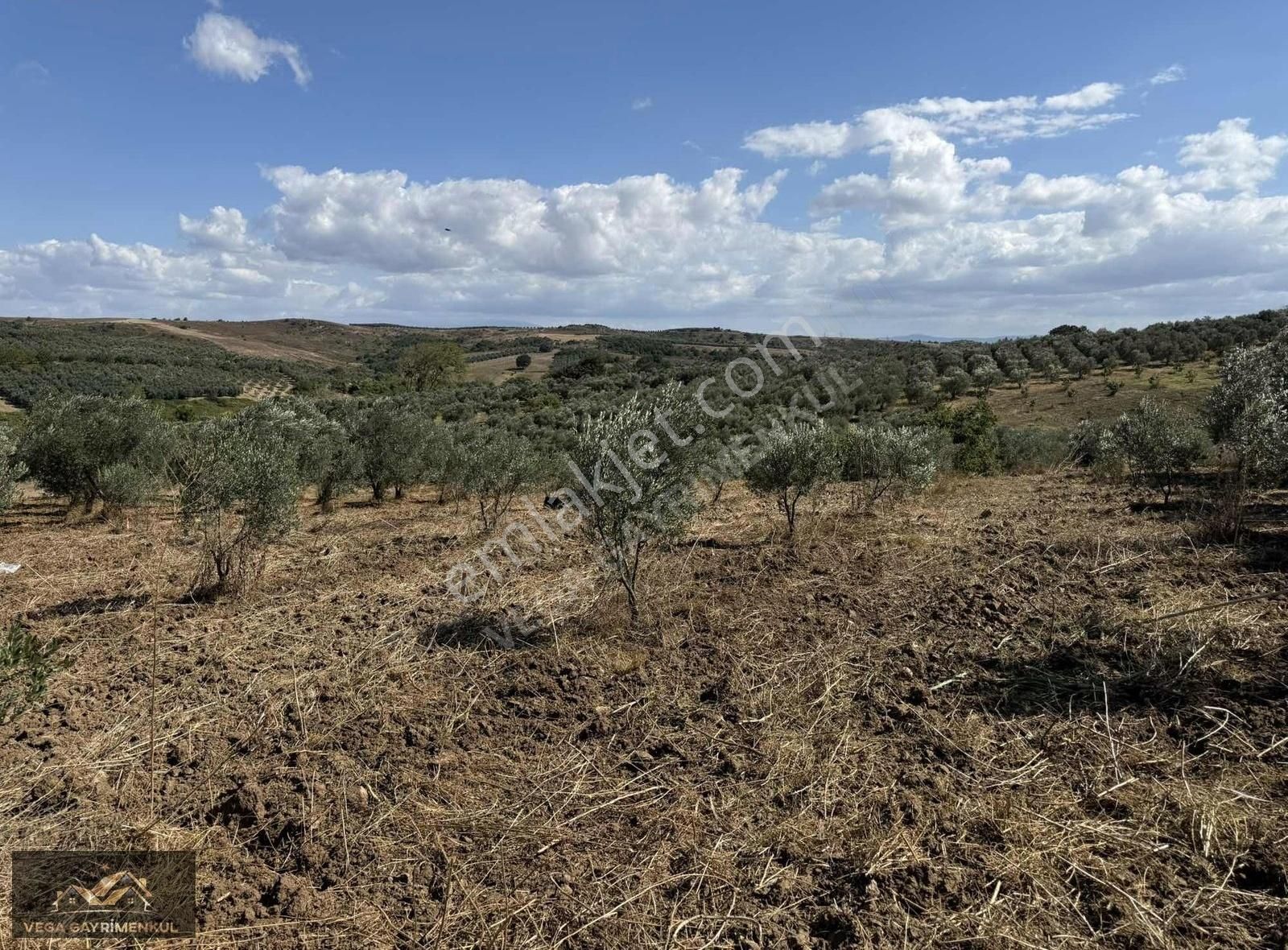 Esence'de Satılık Parseller - Görsel 5