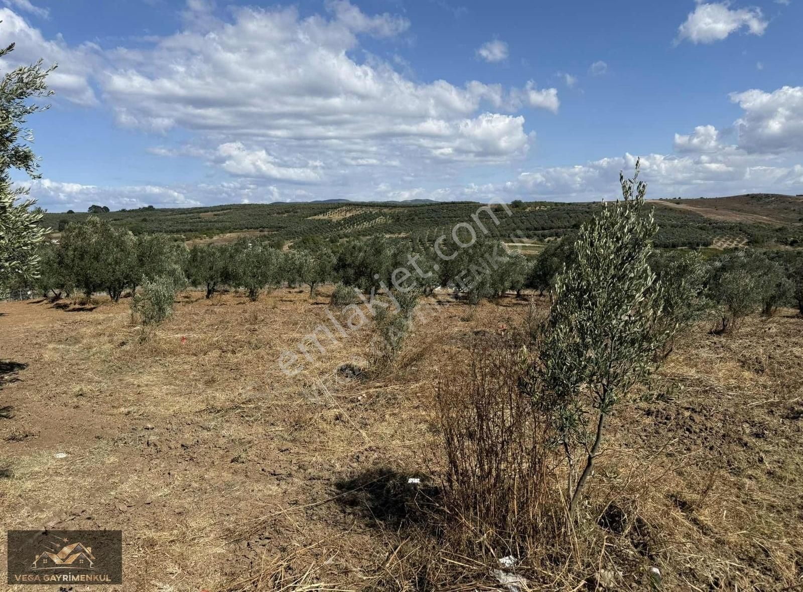 Esence'de Satılık Parseller - Görsel 13