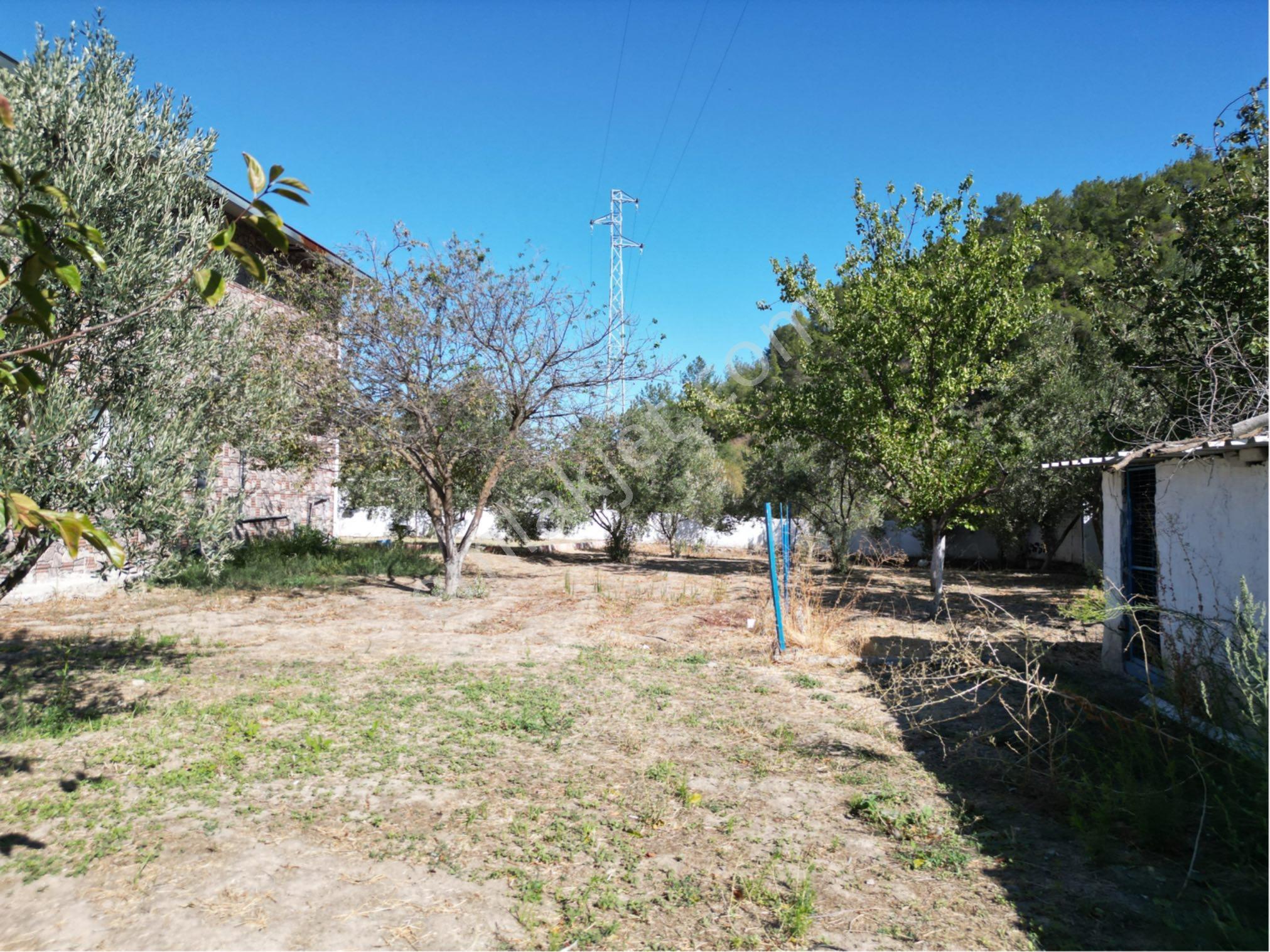 Beyaz Gayrimenkulden Çam Köyde 1.125 M2 Fırsat Villa - Görsel 23