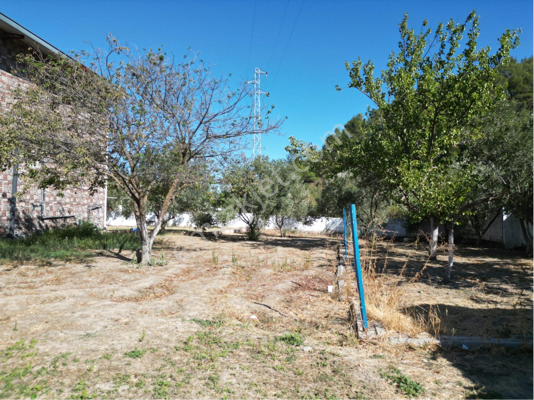 Beyaz Gayrimenkulden Çam Köyde 1.125 M2 Fırsat Villa - Görsel 24
