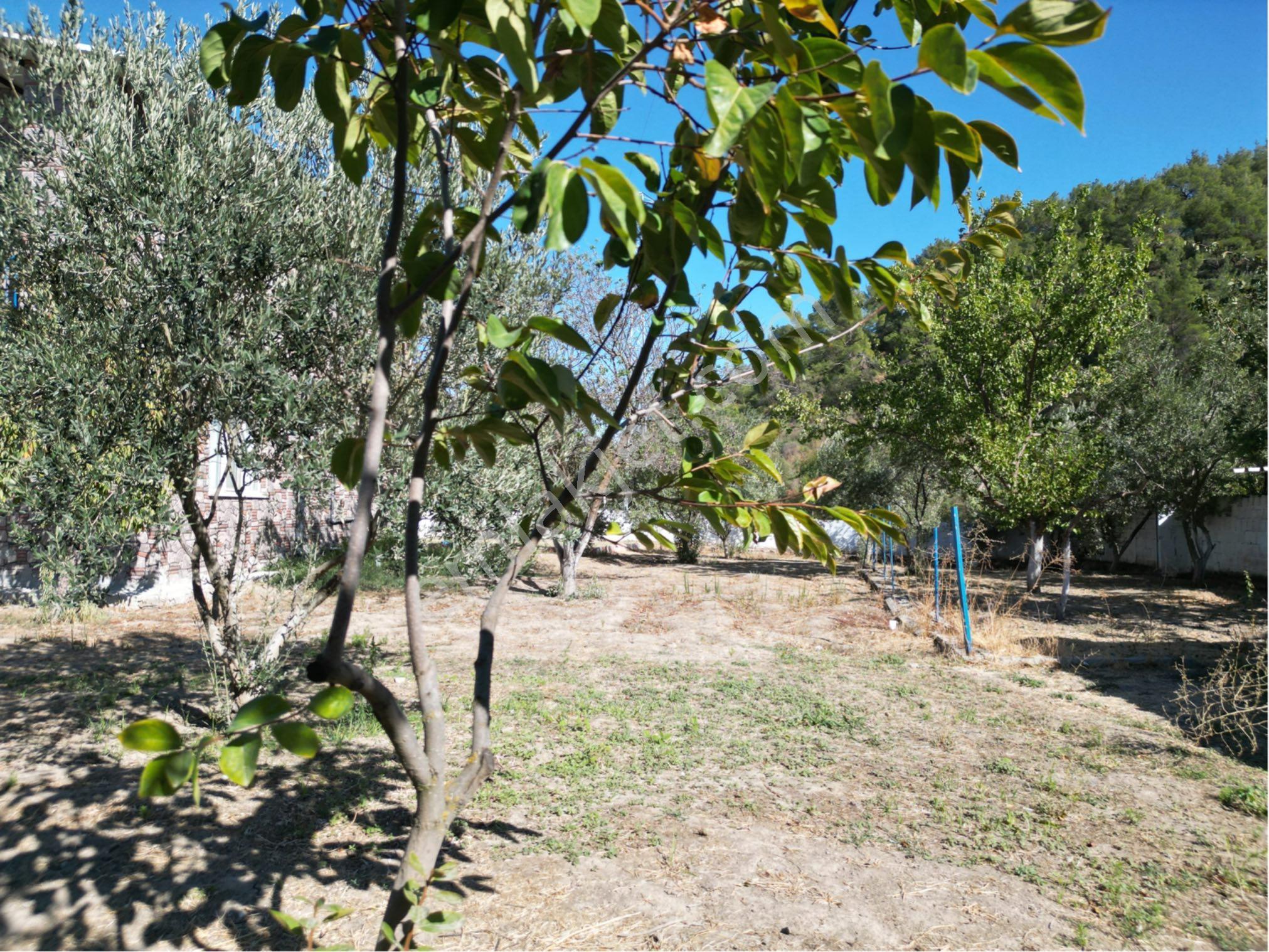 Beyaz Gayrimenkulden Çam Köyde 1.125 M2 Fırsat Villa - Görsel 20