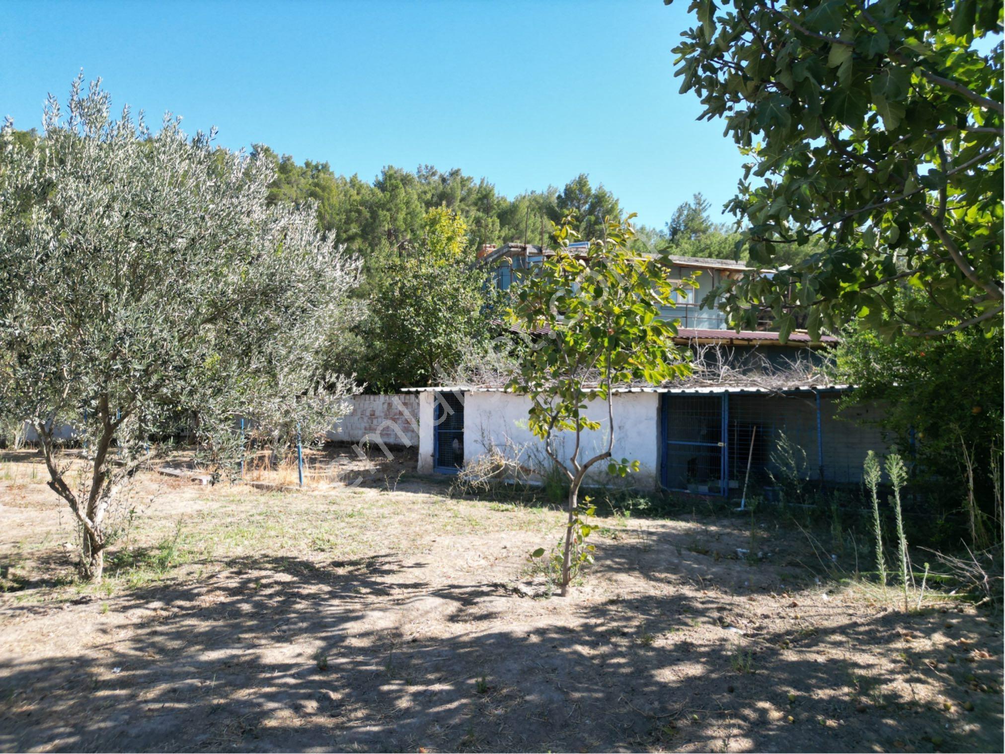Beyaz Gayrimenkulden Çam Köyde 1.125 M2 Fırsat Villa - Görsel 31
