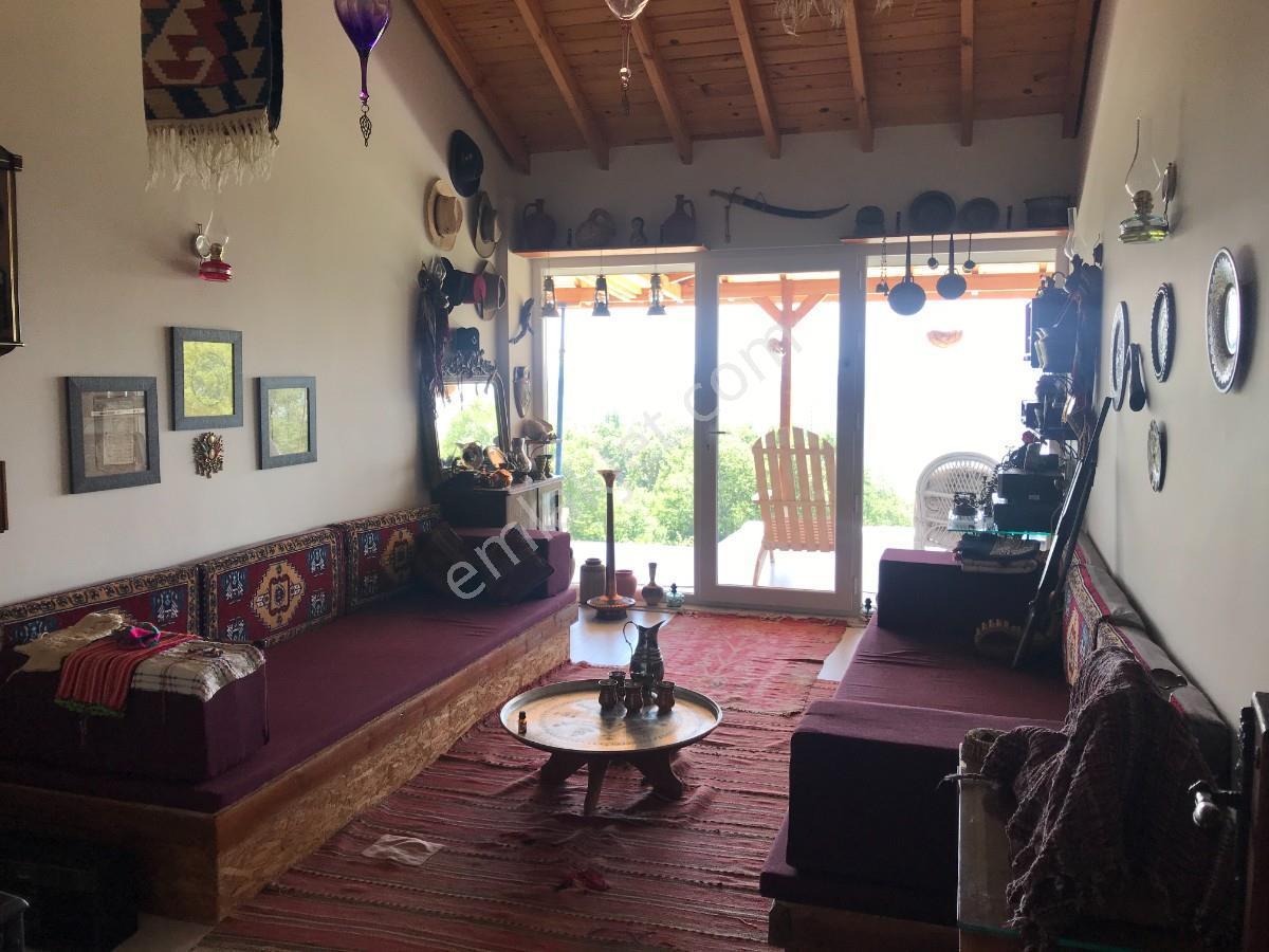 Satılık Çiftlik Evi-geyve Sabırlar Köyünde 27.000m2 Tek Tapu - Görsel 24
