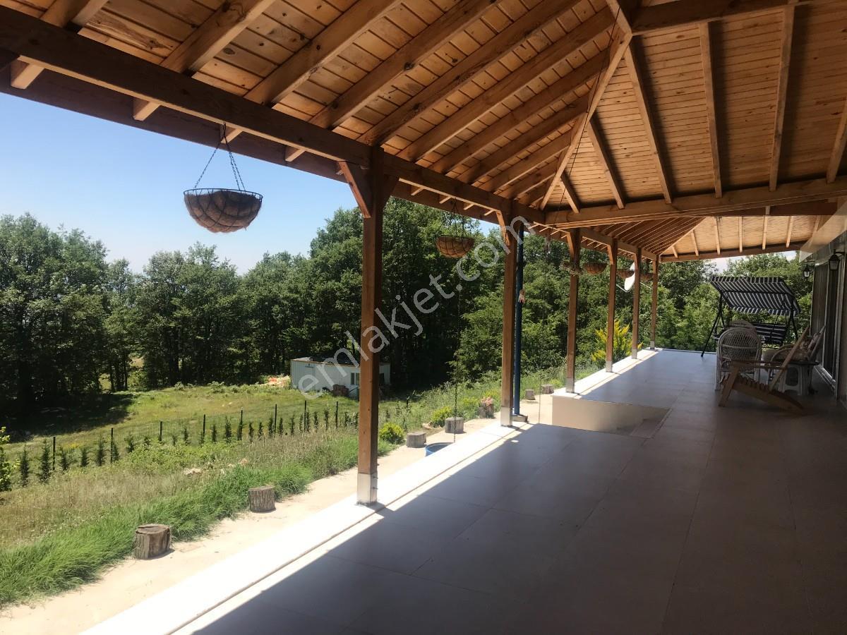 Satılık Çiftlik Evi-geyve Sabırlar Köyünde 27.000m2 Tek Tapu - Görsel 27