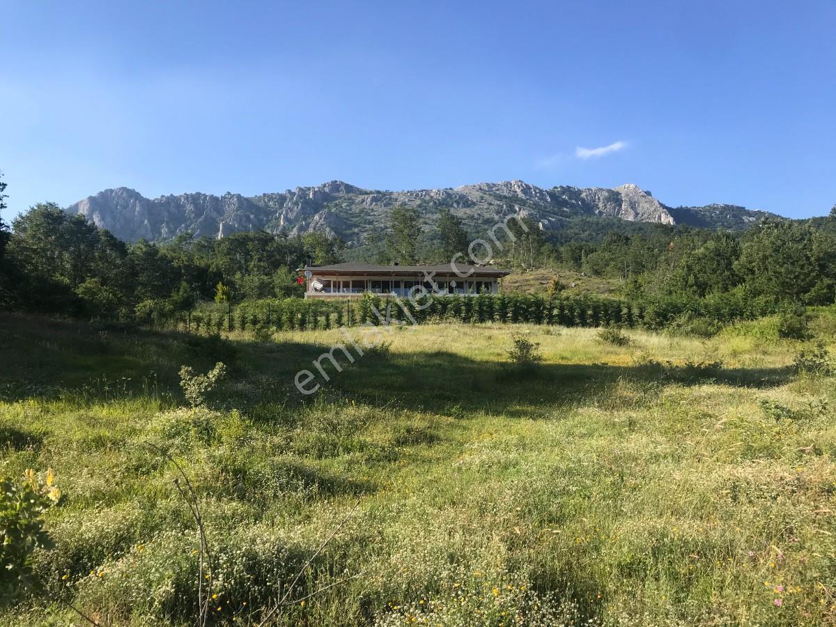 Satılık Çiftlik Evi-geyve Sabırlar Köyünde 27.000m2 Tek Tapu - Görsel 12