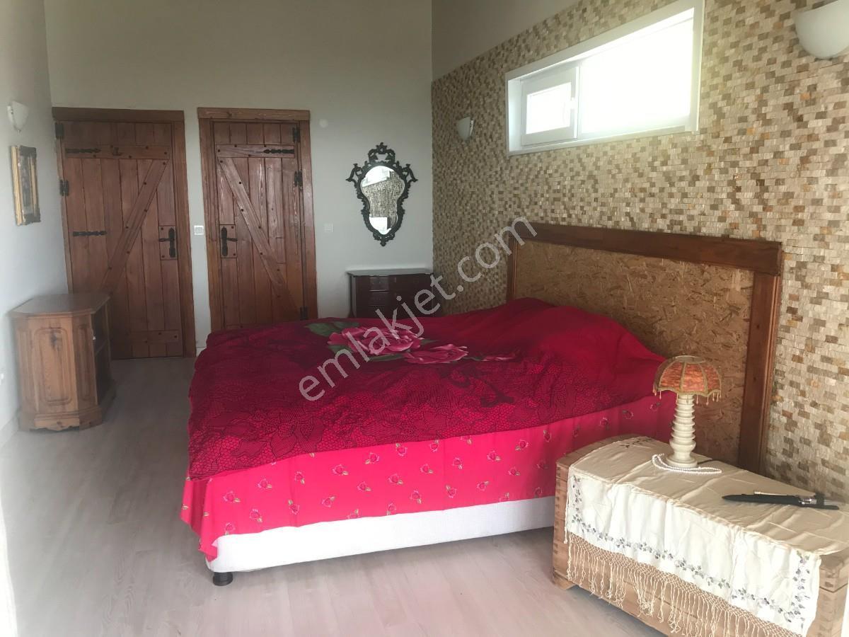 Satılık Çiftlik Evi-geyve Sabırlar Köyünde 27.000m2 Tek Tapu - Görsel 9