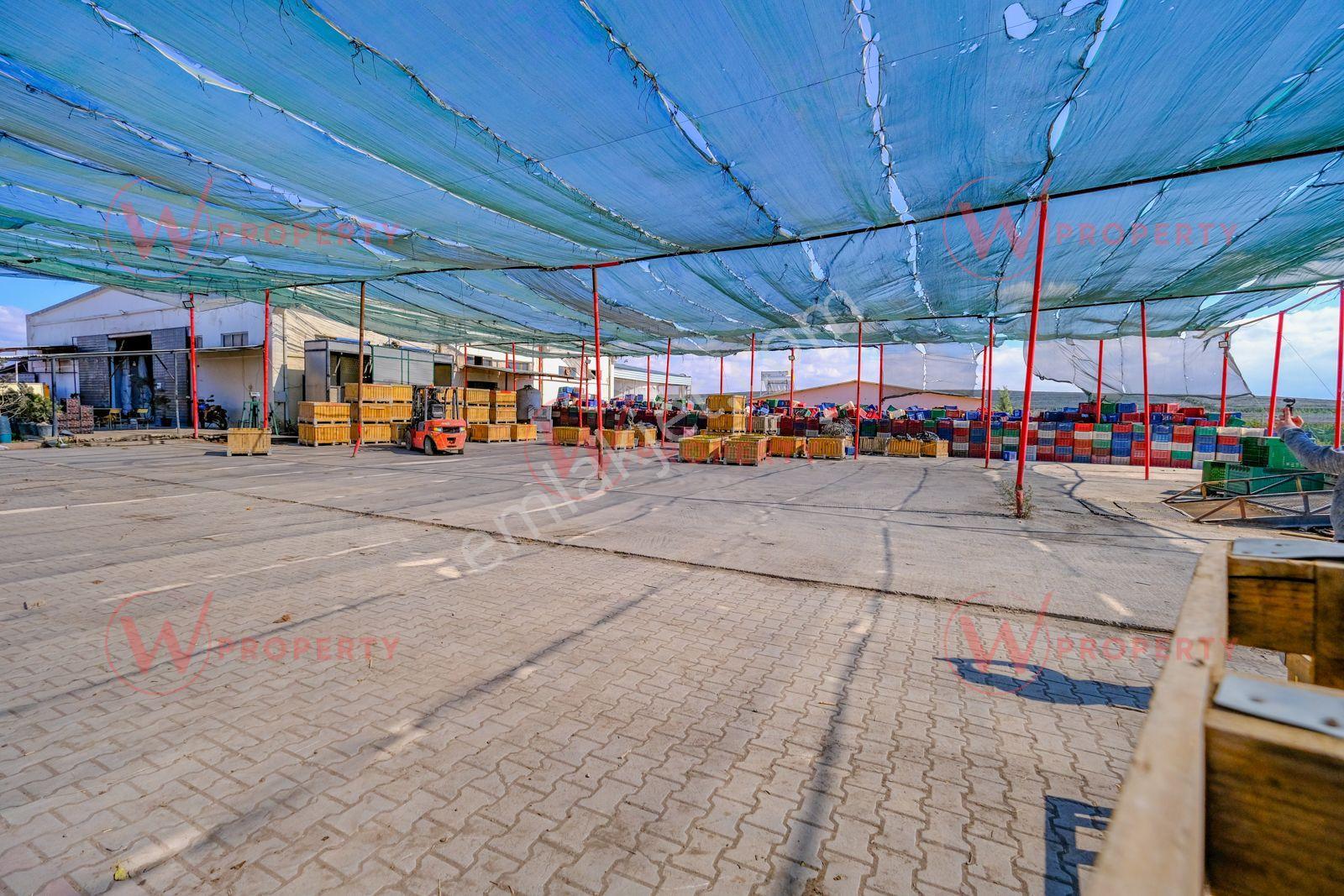 W Property'den Niğde Bor'da 2.291 Dönüm Elma Bahçesi - Görsel 8