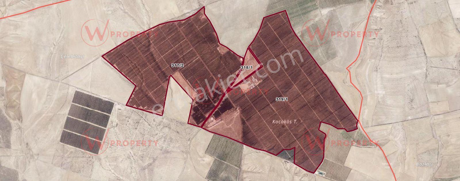 W Property'den Niğde Bor'da 2.291 Dönüm Elma Bahçesi - Görsel 30