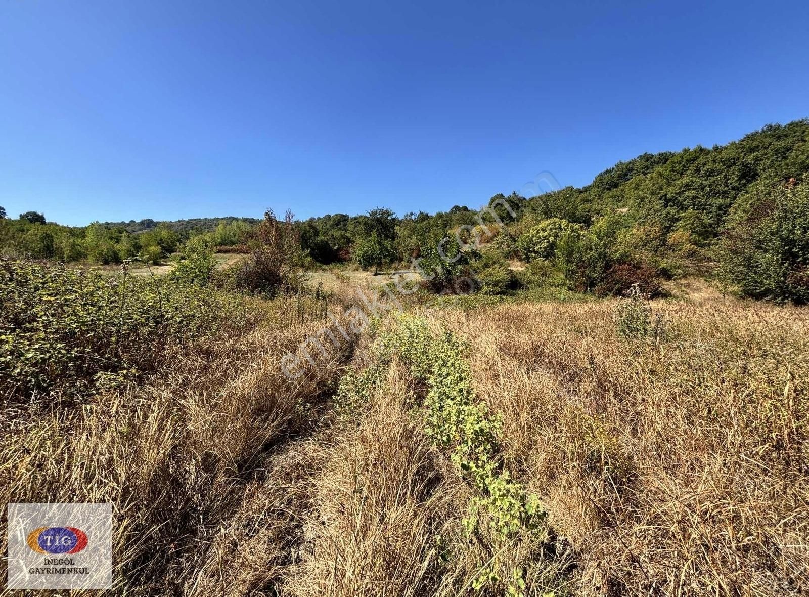 Tig'den Gündüzlü'de Satılık Tarla