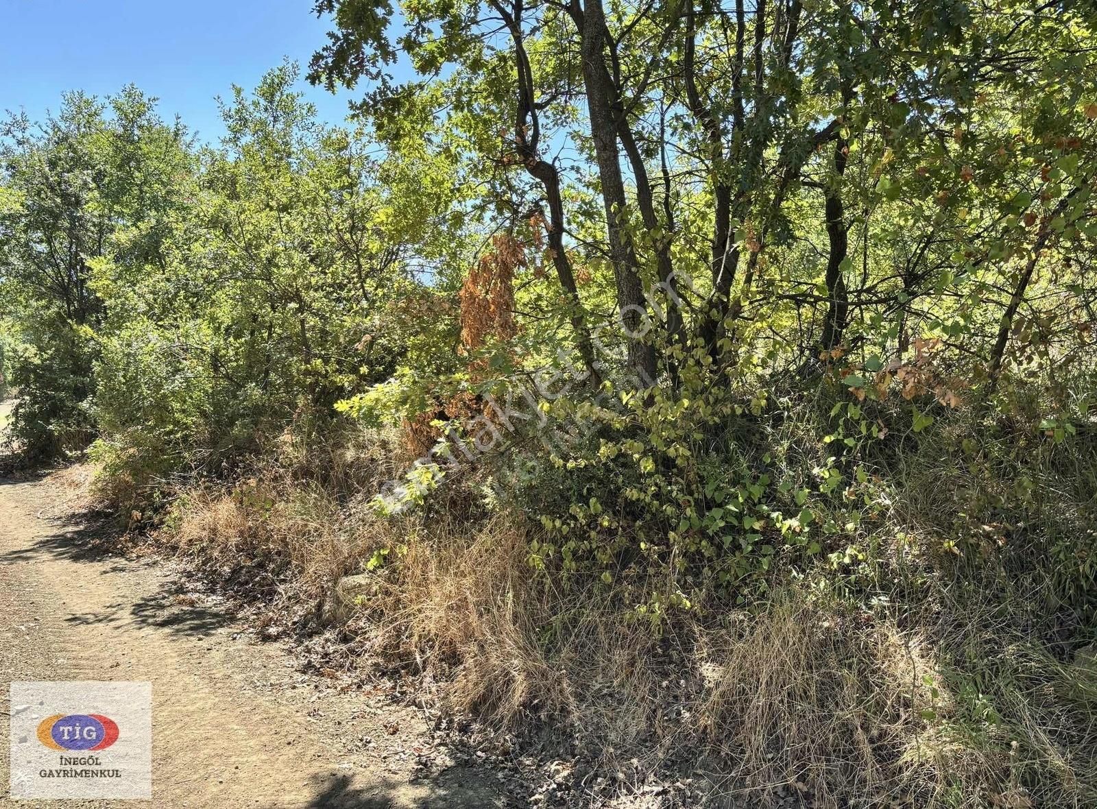 Tig'den Gündüzlü'de Satılık Tarla - Görsel 3